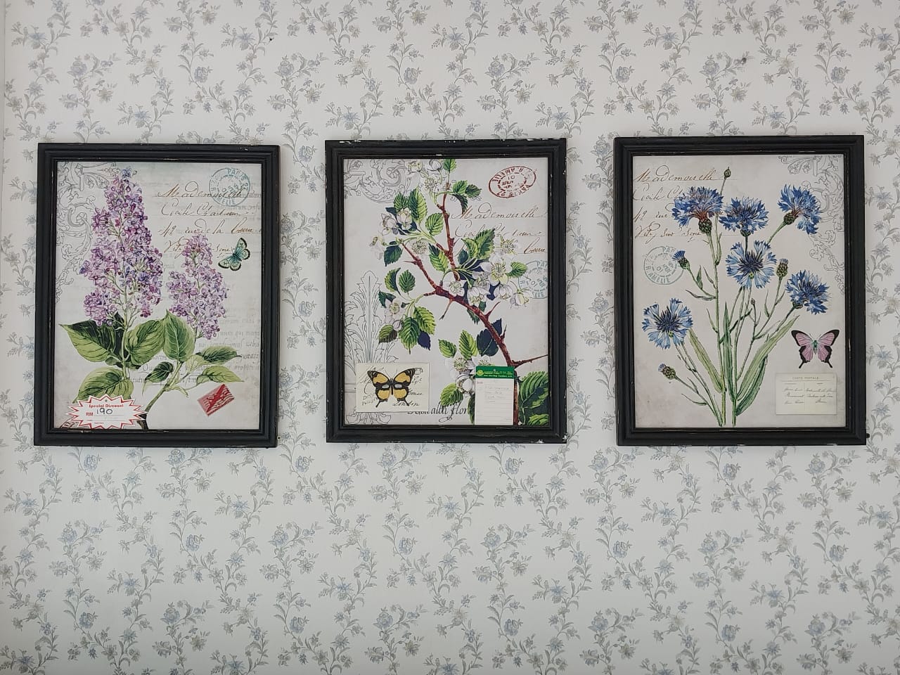Picture & Painting