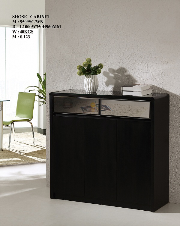 Product: 9509SCWN