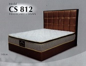 CS812